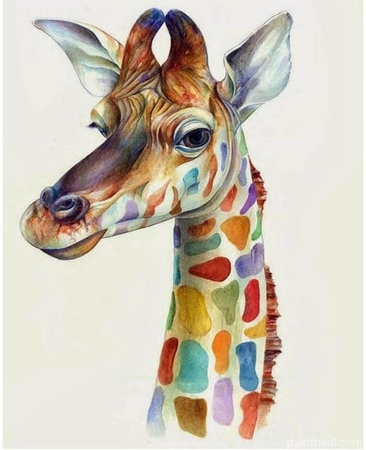 Funny Colorful Giraffe Animals Painting By Numbers Kits