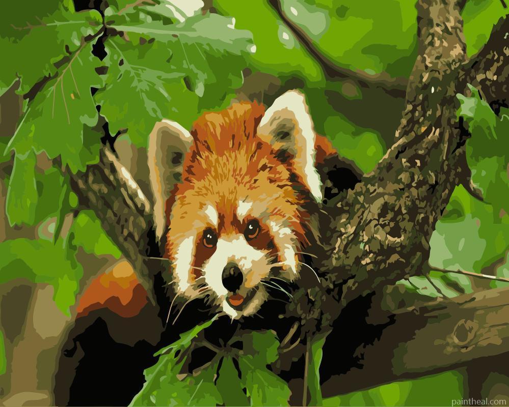 Little Red Panda on a Branch Animals Painting By Numbers Kits