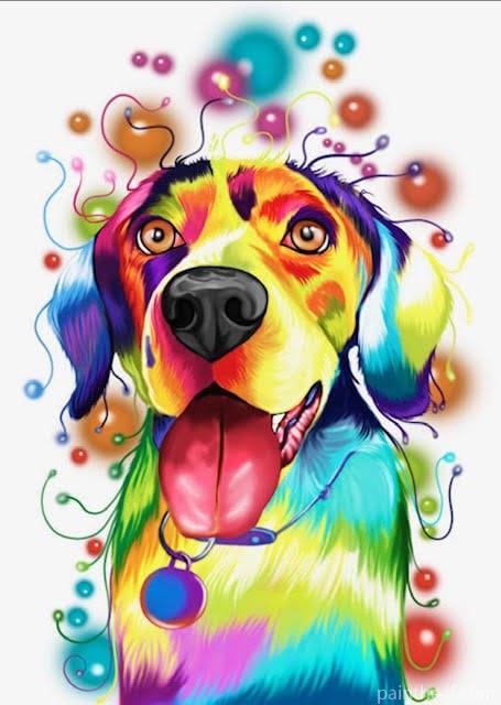 Colorful Retriever Dog Animals Painting By Numbers Kits