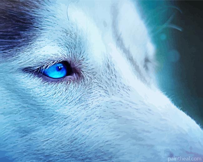 Blue Eyes Ice Wolf Painting By Numbers Kits