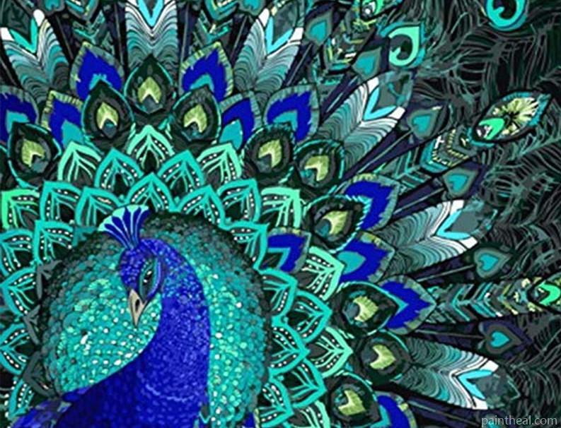 Shapely Peacock Birds Painting By Numbers Kits