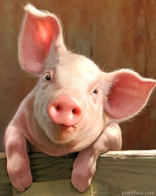 Happy Pig NEW Painting By Numbers Kits