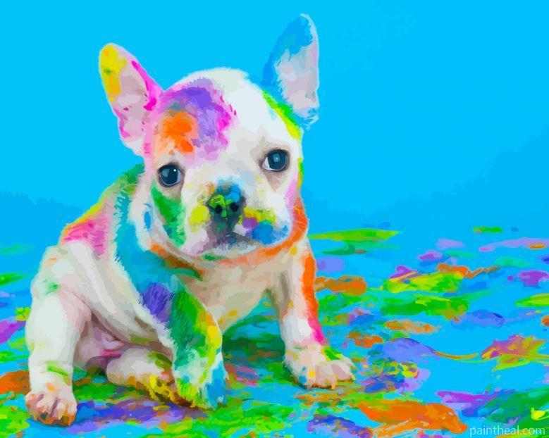 Pigment Dog Animals Painting By Numbers Kits