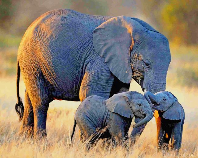 African Elephants NEW Painting By Numbers Kits