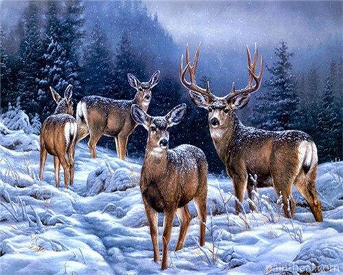 Alaska Deers Animals Painting By Numbers Kits