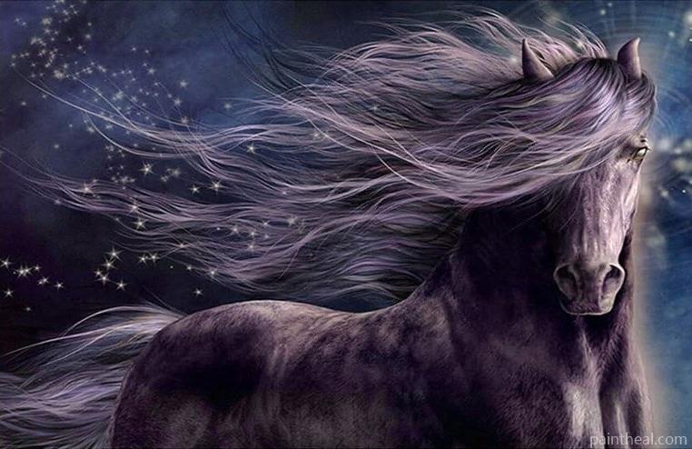Dreamy Horse Animals Painting By Numbers Kits