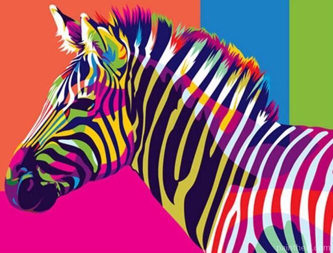 Multi Colors Zebra Animals Painting By Numbers Kits