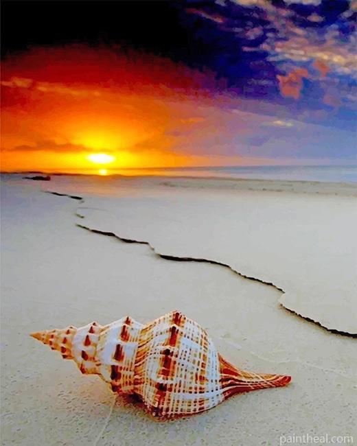 Lonely Shellfish NEW Painting By Numbers Kits
