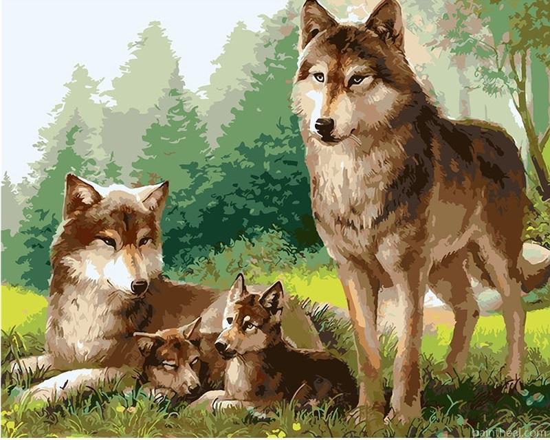 Wolfs Familly Animals Painting By Numbers Kits