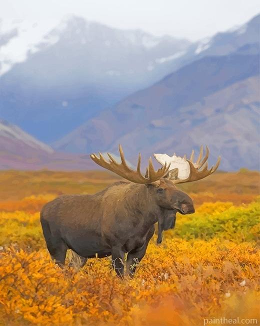 Big Moose NEW Painting By Numbers Kits