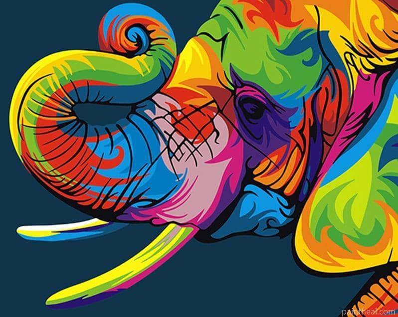 Colorful Elephant Animals Painting By Numbers Kits