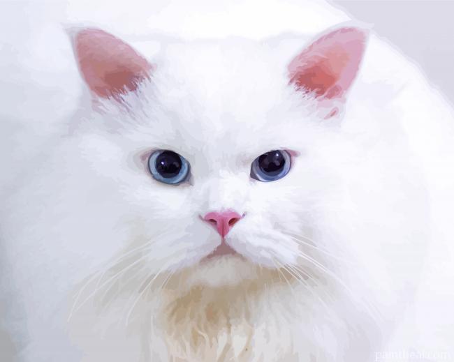 White Persian Cat Painting By Numbers Kits