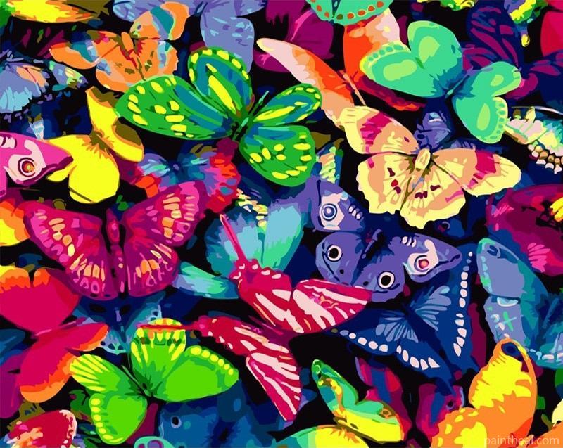 Butterflies and Colors Animals Painting By Numbers Kits