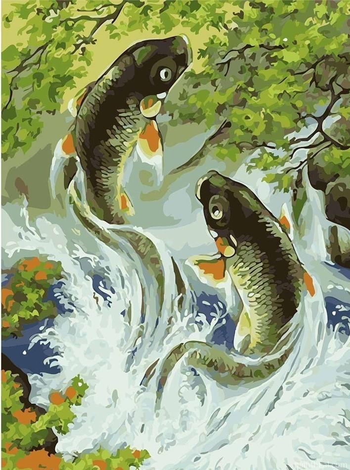 Koi Fish Animals Painting By Numbers Kits