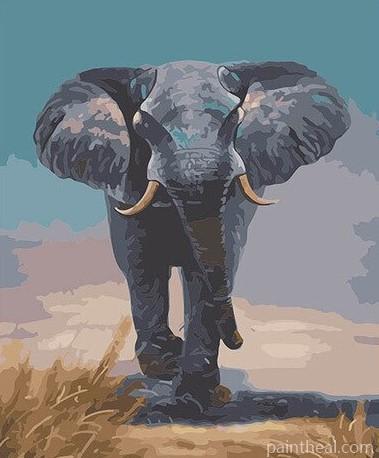 Grey Elephant Animals Painting By Numbers Kits