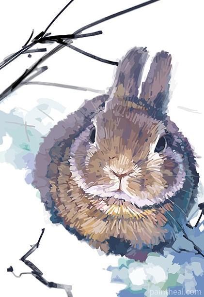 Rabbit in Snow Animals Painting By Numbers Kits