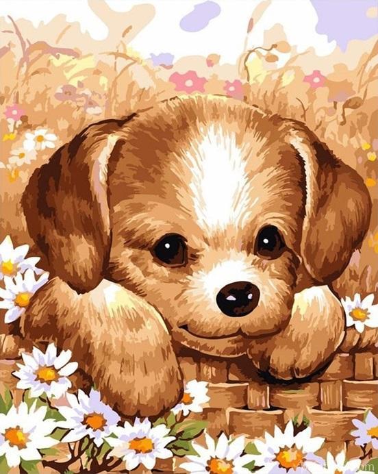 Cute Puppy Animals Painting By Numbers Kits