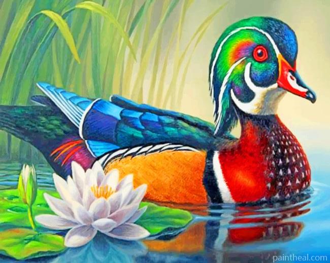 Wood Duck NEW Painting By Numbers Kits
