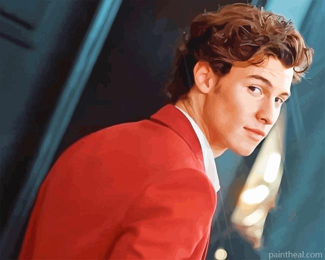 Shawn Mendes Looks NEW Painting By Numbers Kits