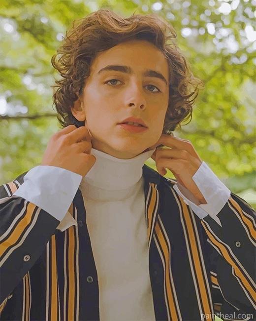 Classy Timothee Chalamet NEW Painting By Numbers Kits