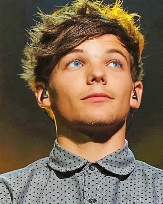 Louis Tomlinson NEW Painting By Numbers Kits