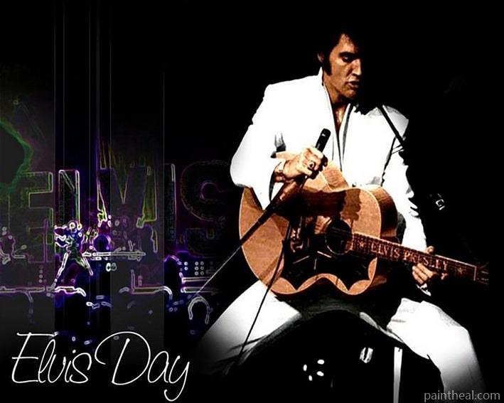 Elvis Presley Concert People Painting By Numbers Kits