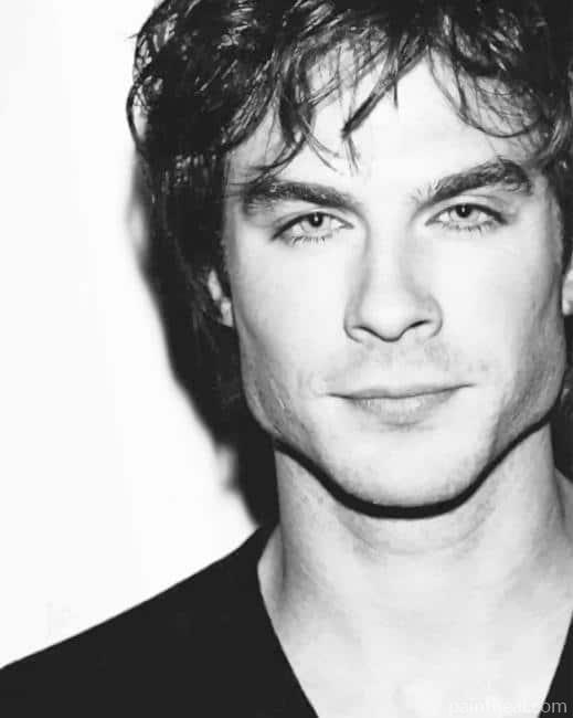 Ian somerhalder Painting By Numbers Kits