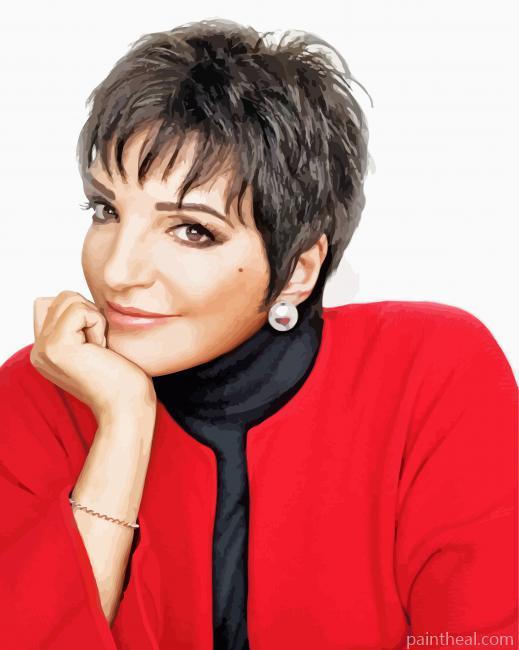 Liza Minnelli Painting By Numbers Kits