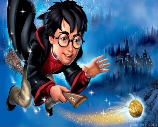 Harry Potter Flying Broom Animation Painting By Numbers Kits