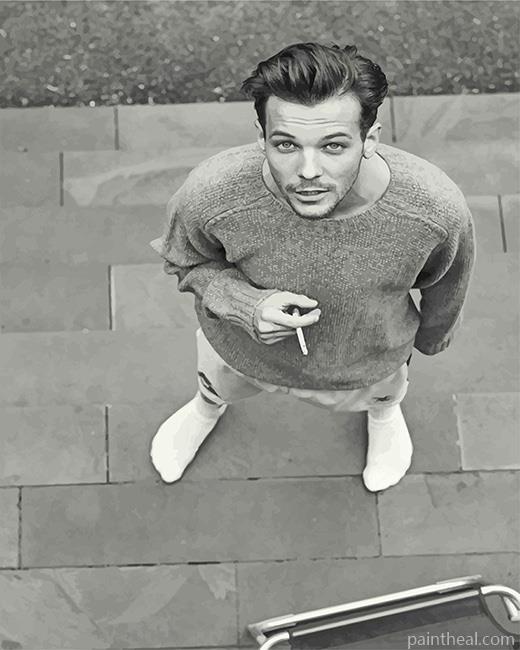 Black And White Louis Tomlinson NEW Painting By Numbers Kits