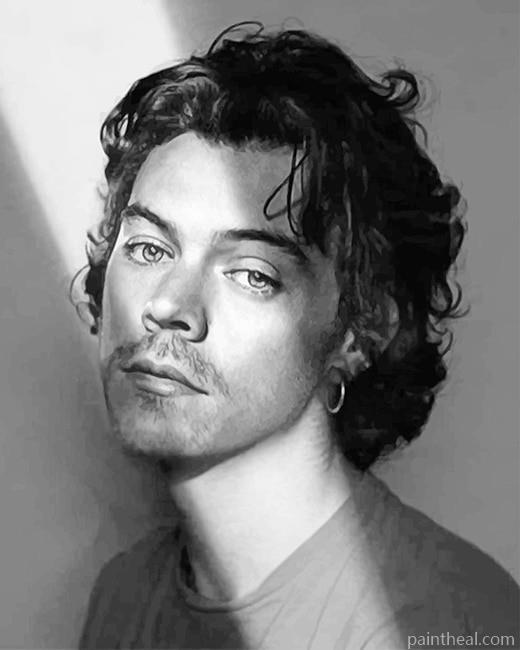 Black & white Harry Edward Styles NEW Painting By Numbers Kits