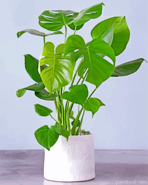 Aesthetic Philodendron Painting By Numbers Kits