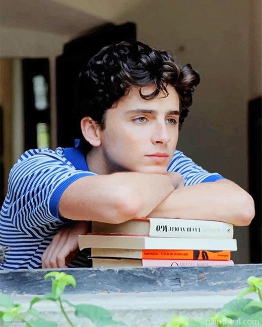 Classy Handsome Timothee Chalamet NEW Painting By Numbers Kits
