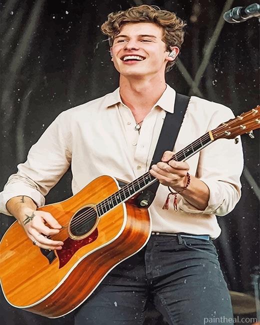 Shawn Mendes Playing Guitar NEW Painting By Numbers Kits