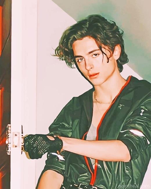 Timothee Chalamet Vintage NEW Painting By Numbers Kits