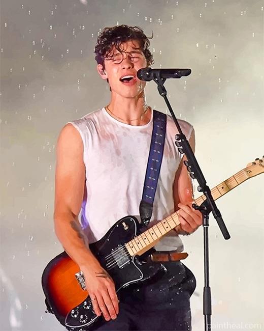 Shawn Mendes Singing On Stage NEW Painting By Numbers Kits