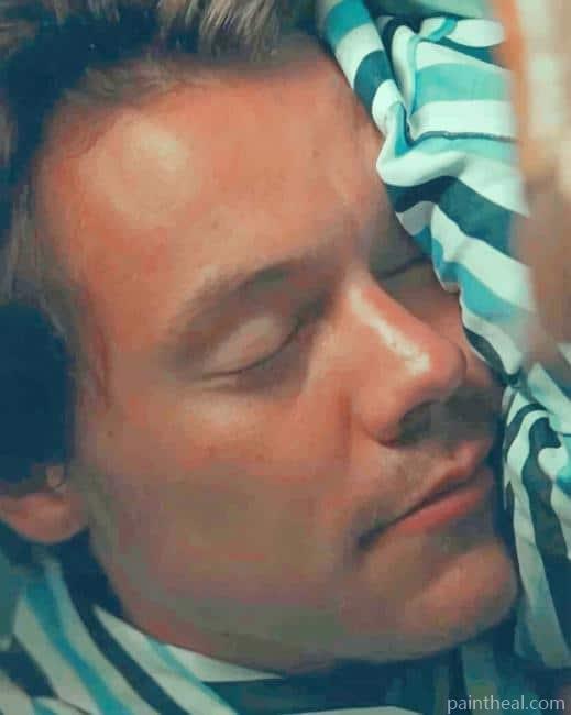 Harry Styles Sleeping NEW Painting By Numbers Kits