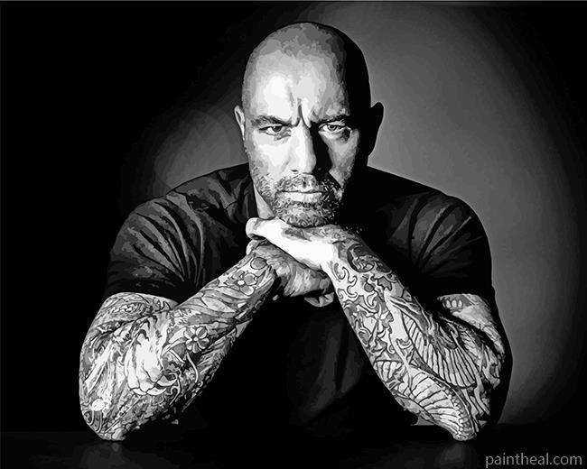 Monochrome Joe Rogan Painting By Numbers Kits