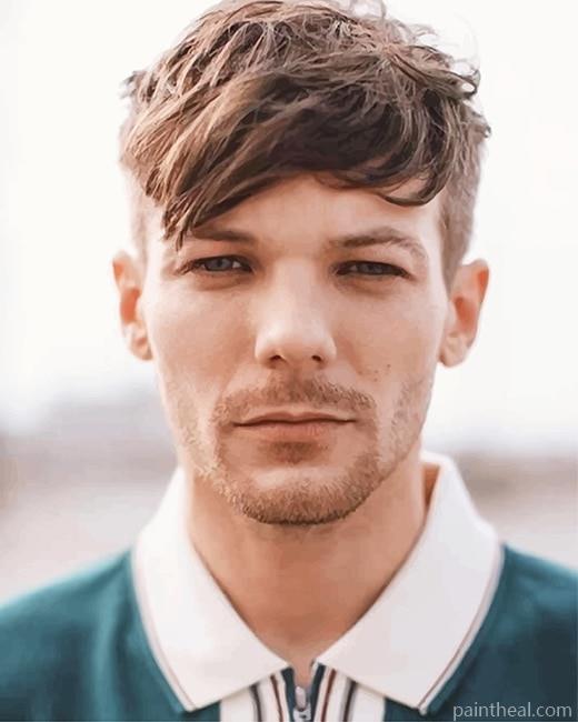 Louis Tomlinson New Haircut NEW Painting By Numbers Kits