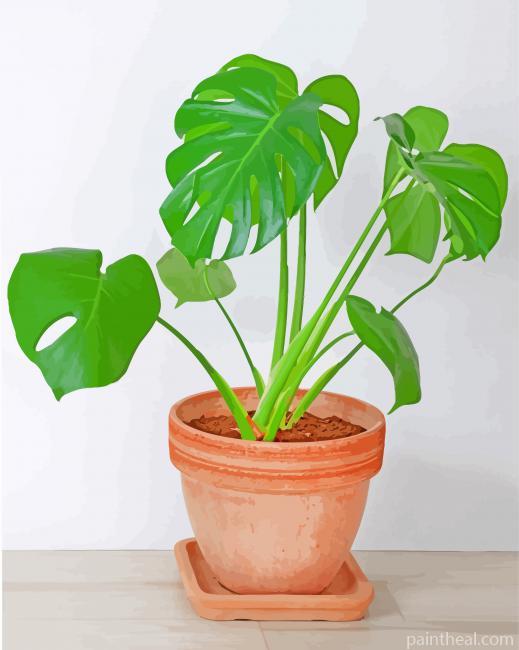 Philodendron Painting By Numbers Kits
