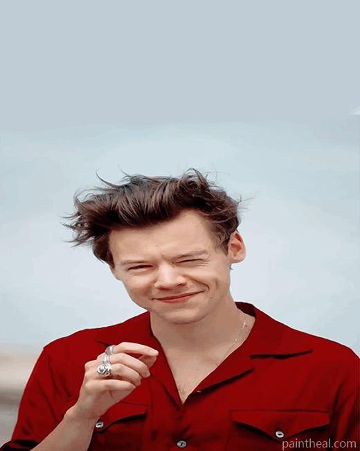 Cute Harry Styles Smiling NEW Painting By Numbers Kits