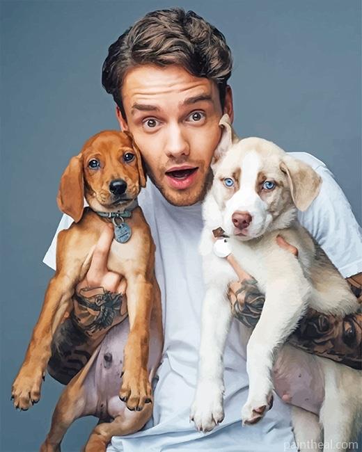 Liam Payne And His Pets NEW Painting By Numbers Kits