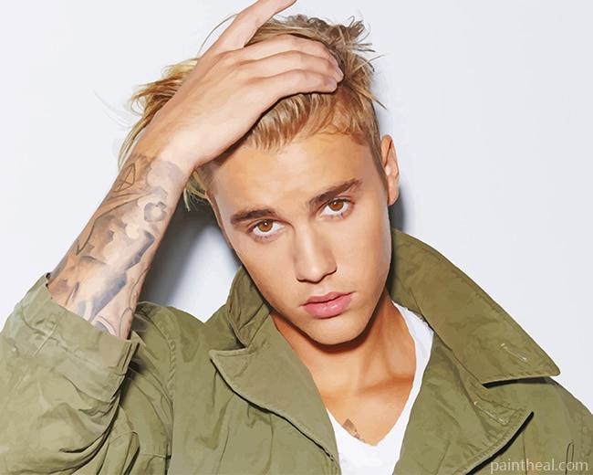 Justin Bieber NEW Painting By Numbers Kits