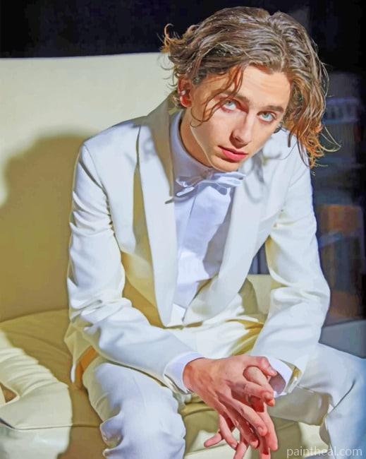 Timothee Chalamet Wearing A White Suit NEW Painting By Numbers Kits