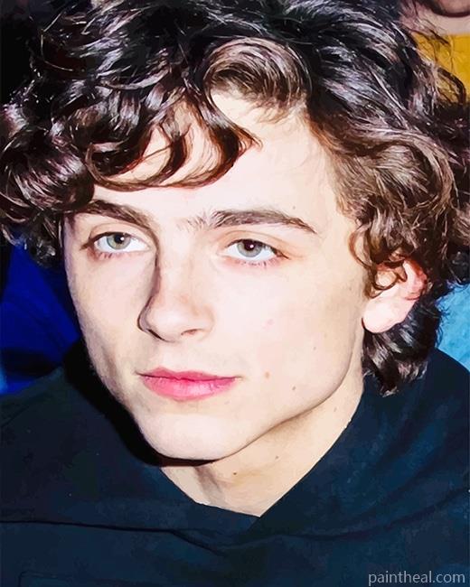 Cute Timothee Chalamet NEW Painting By Numbers Kits
