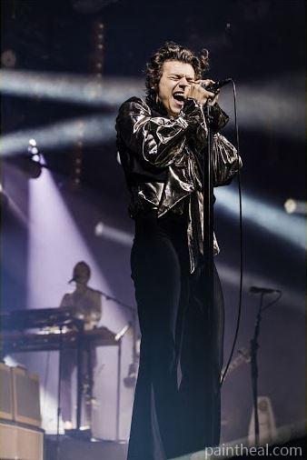 Harry Styles On Stage People Painting By Numbers Kits