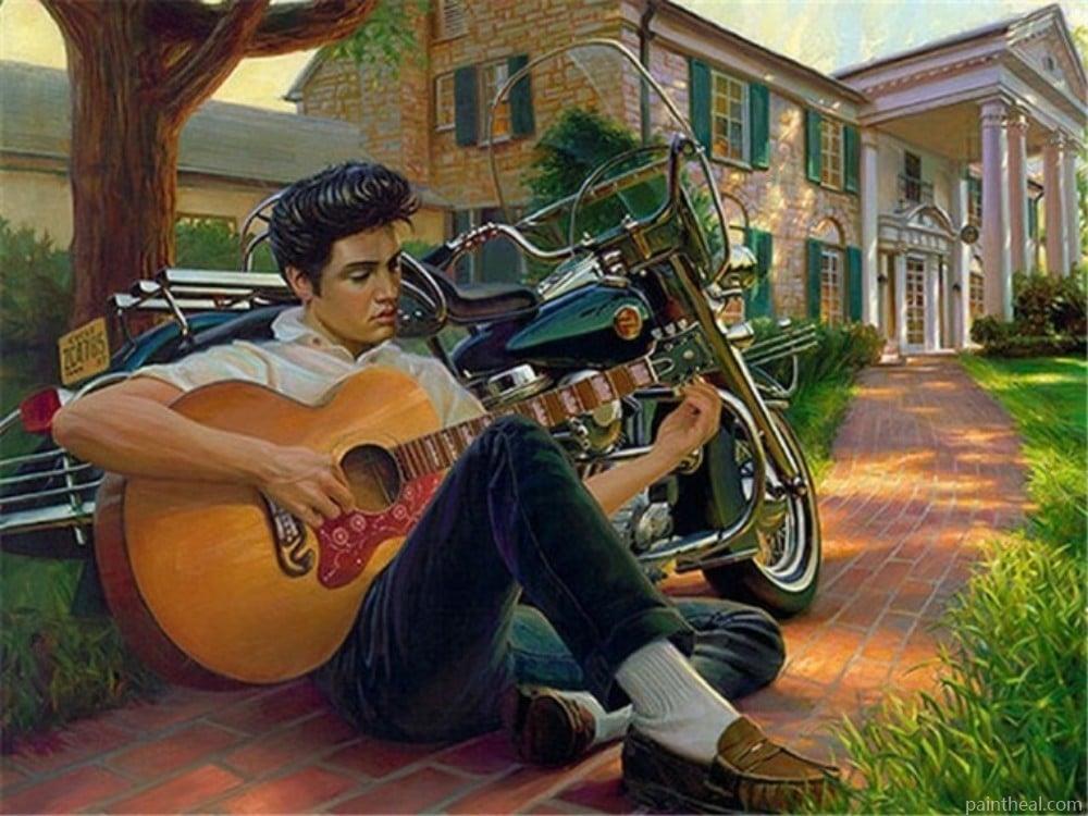 Elvis Presley in Graceland People Painting By Numbers Kits