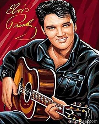 Elvis Presley With Guitar People Painting By Numbers Kits