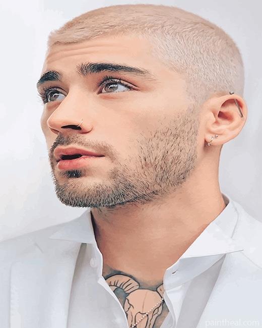 Zayn Malik New Look NEW Painting By Numbers Kits