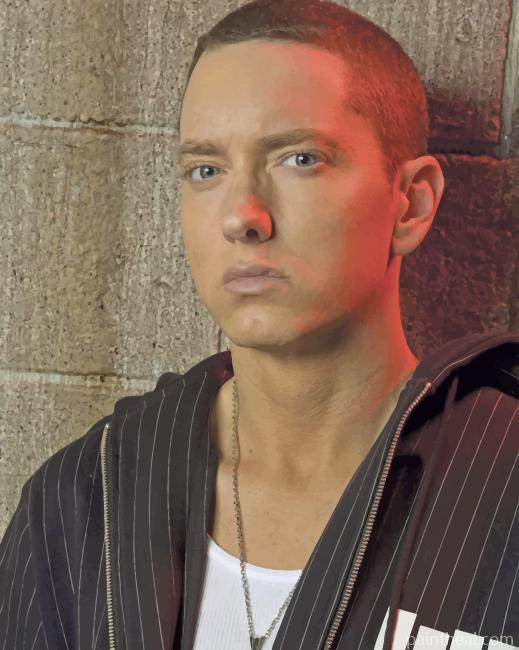 Handsome Eminem Painting By Numbers Kits